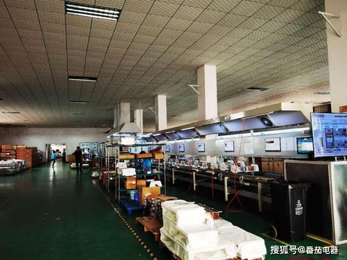 德國特維爾斬獲中國家電“磐石獎”，以卓越品質定義家用電器新標準